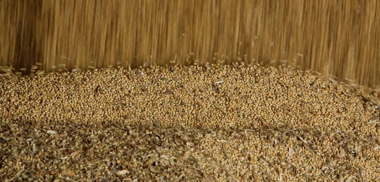 Brasil bate recorde nas exportações de soja para a China em junho