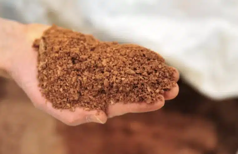 Brasil corre para aprovar marco dos minerais estratégicos até novembro