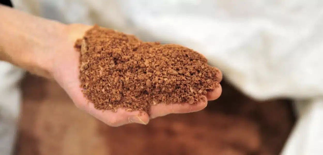 Brasil corre para aprovar marco dos minerais estratégicos até novembro