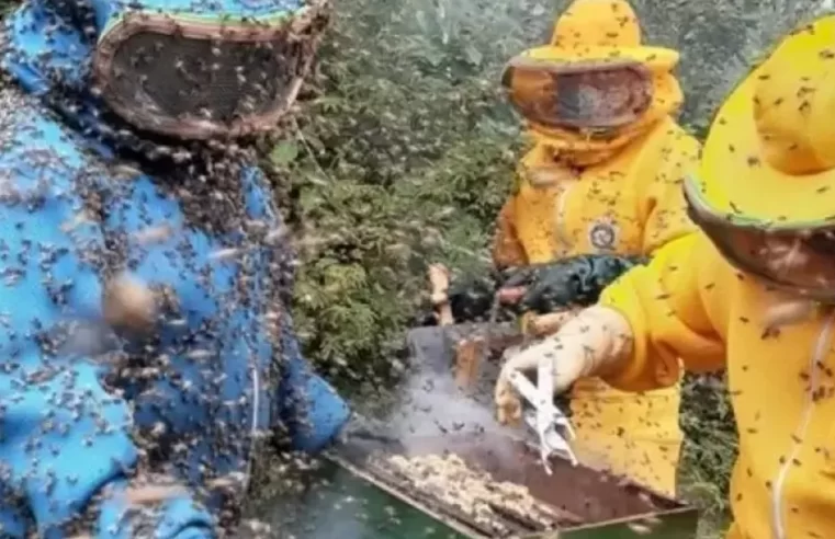 Tarifa de Trump trava 95 toneladas de mel piauiense no porto do Ceará