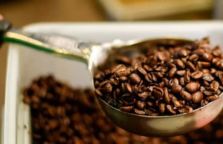 Importadores correm para desembarcar café brasileiro nos EUA antes da tarifa de 50%