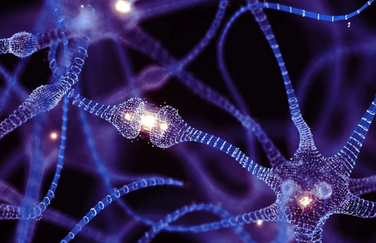 Cientistas descobrem que nanotubos conectam neurônios e criam rede de comunicação direta no cérebro