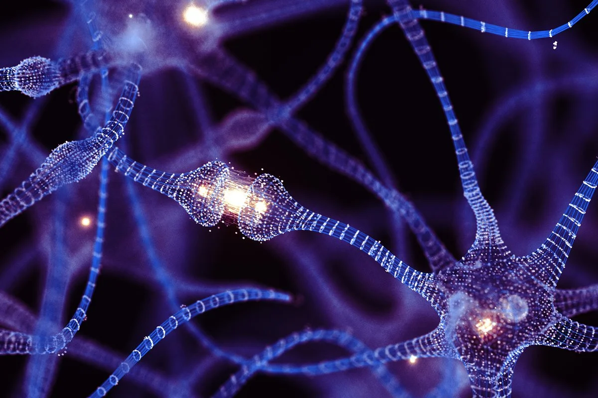 Cientistas descobrem que nanotubos conectam neurônios e criam rede de comunicação direta no cérebro